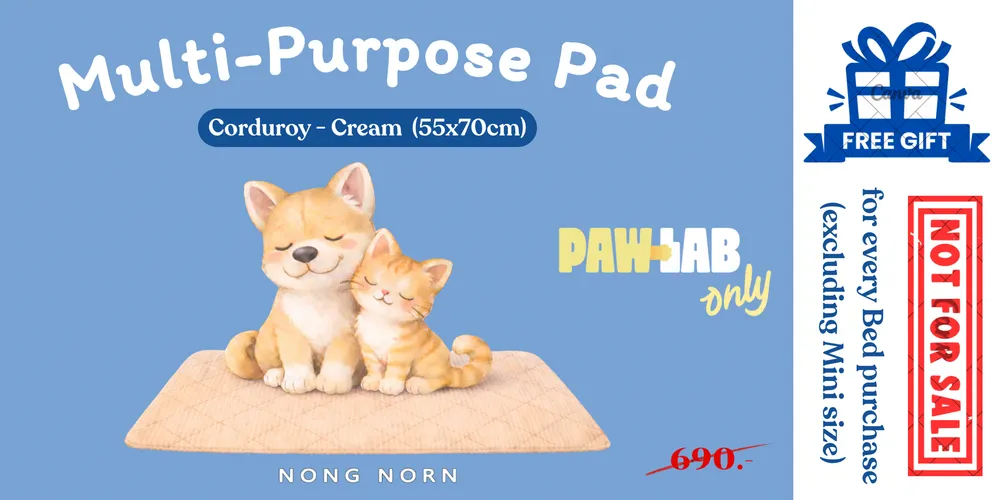 Multi-Purpose Pad