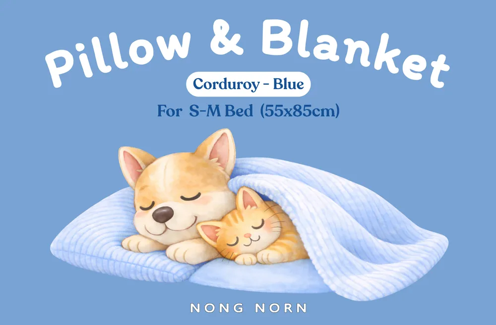 Pillow & Blanket Set